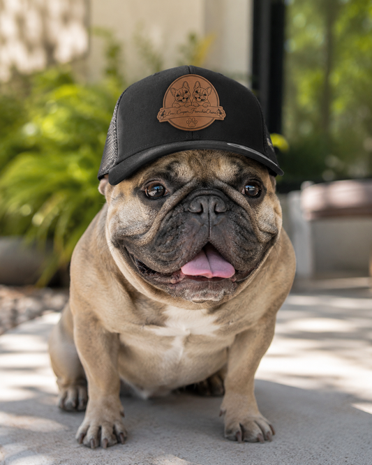 Bulldogs Ohana Hat