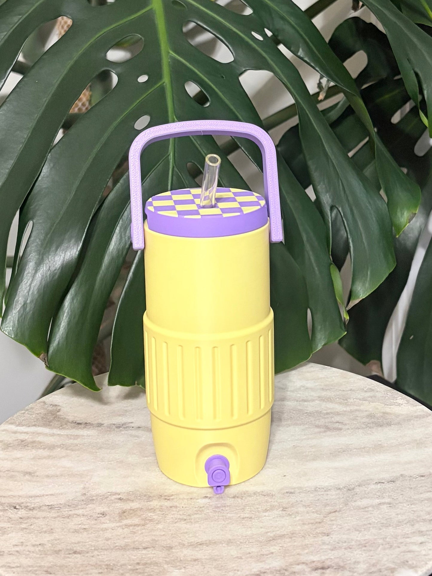 12oz Retro Cooler Slim Can Koozie with Handle (Alani Can)