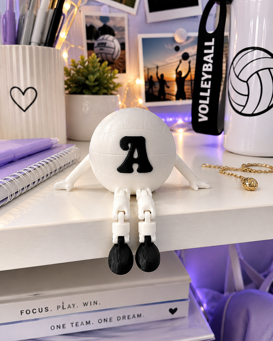 Volleyball Desk Buddy